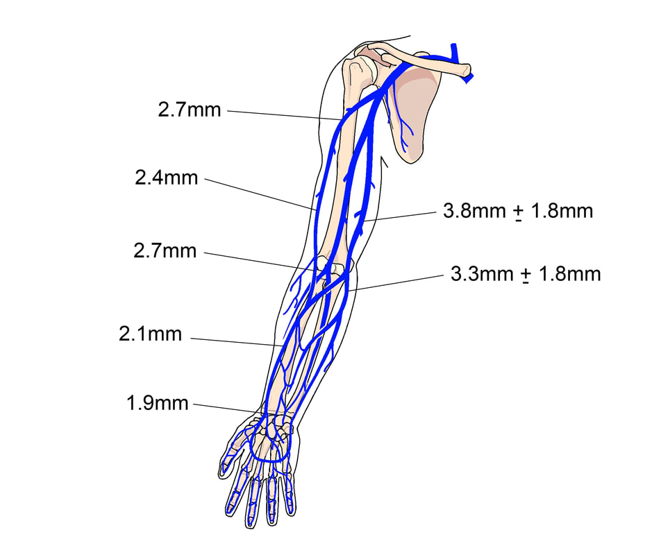 arm-veins-labeled_or. 